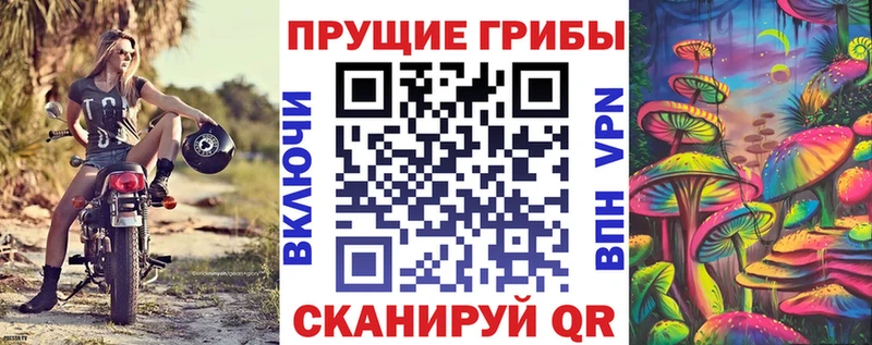 дарнет шоп  Гдов  Псилоцибиновые грибы Cubensis 